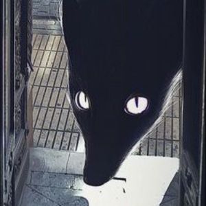 Meet your Posher, Draco’s